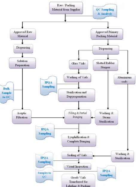 Figure 4: General Process Flow Diagram of Liquid Lyophillized Formulation Preparation 