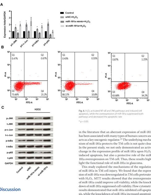 Fig. 6. H2O2 activated NF-κB and JNK pathways and induced cell apoptosis, while the overexpression of miR-181a suppressed both pathways and decreased the apoptotic rate