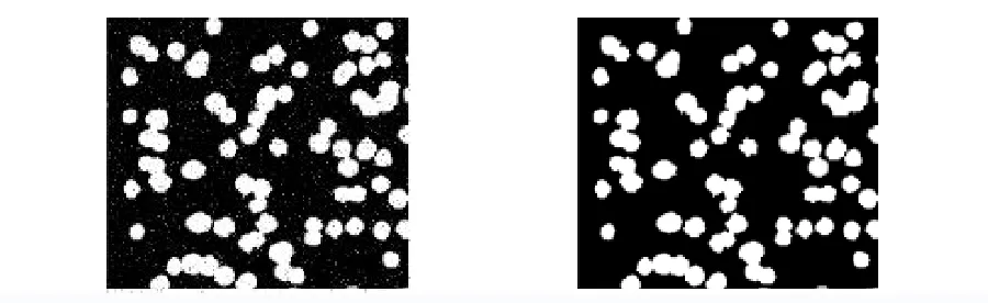 Fig. 6: comparison of sediment particle image segmentation results  