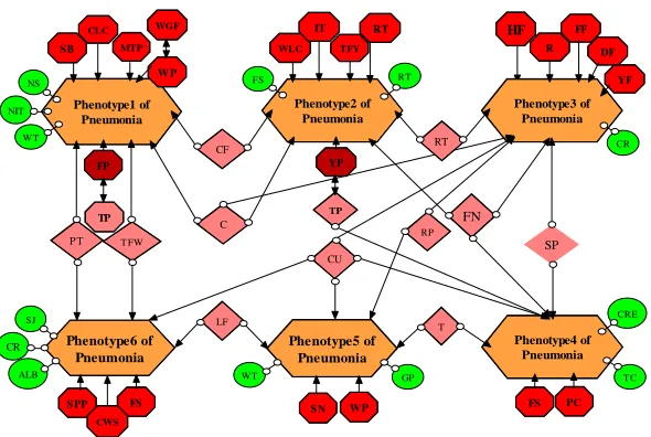 Fig. 5: Causal analysis graph of multiple phenotype pneumonia   