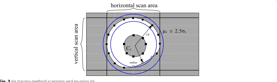 Fig. 2 Proposed quality-based iris segmentation fusion method