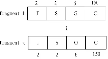 Figure 3 the format for division  