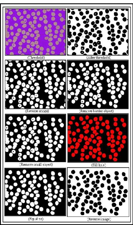 Figure 3: Image pre-processing stages.