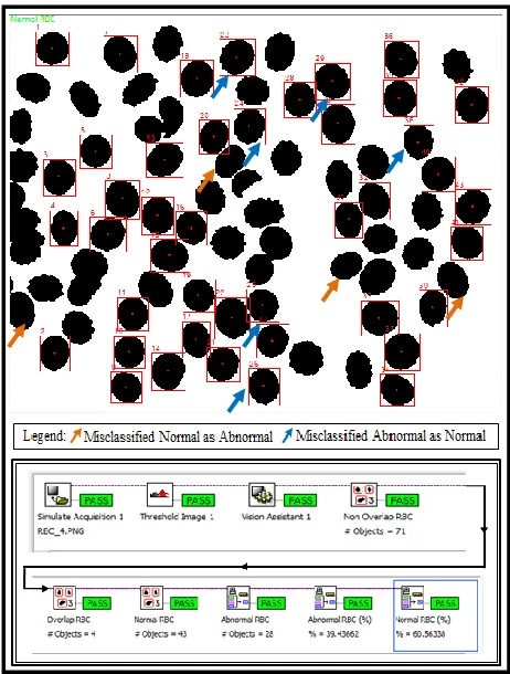 Figure 5: Image RBC_4 classification result.  