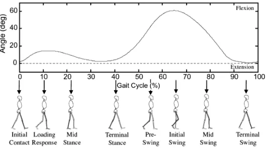 Figure 2.3: Knee joint angle of a gait cycle [9] 