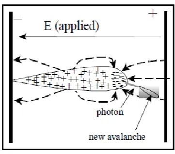 Figure 2.8: Streamer formation [10] 