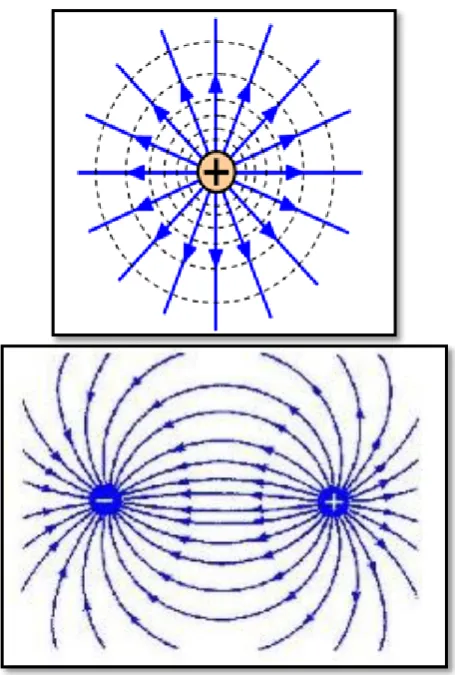 Figure 2.18: Different movement of magnitude and direction[27] 