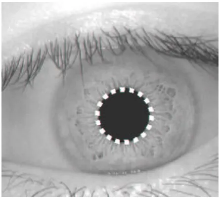 Figure 3. Finding the inner boundary of the iris in image 027-2-7 from CASIA database [12] 