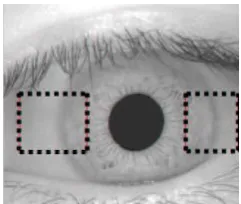 Figure 5. Daugman’s mapping method for iris normalization