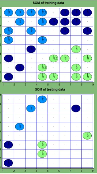 Figure 4. SOM of the data, corresponding to the scientific papers about optimization (manual dictionary creation II) 