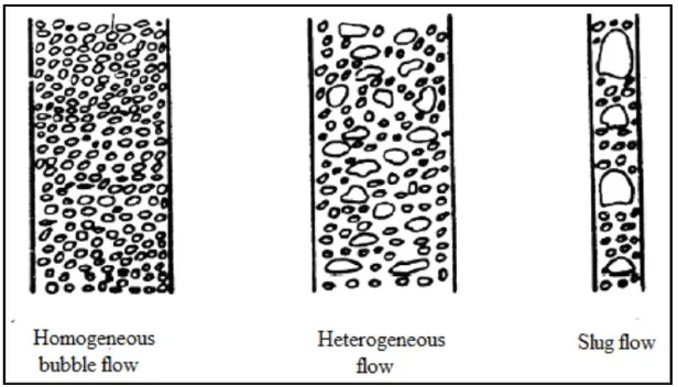 Figure 2.1: The flow regime in bubble column (Jakobson, H. A., 2008) 