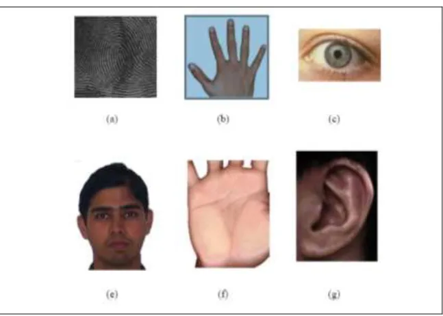 Figure 2.1.  