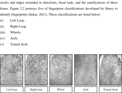 Figure 2.2: Subgroups of Fingerprint Classification (Sekar, 2011). 