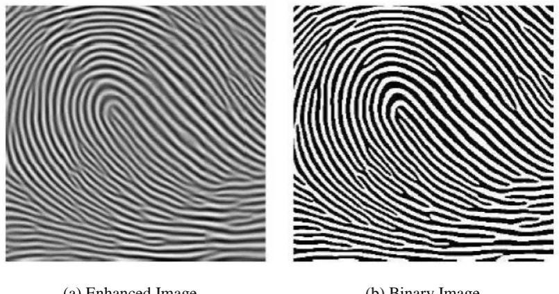 Figure 2.5: Processing of Binarization (Ashok & Ummal, 2013) 
