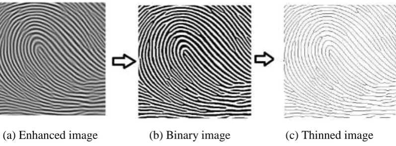 Figure 2.6: Enhancement Steps (Ashok & Ummal, 2013) 