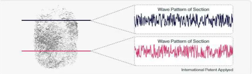 Figure 2.11: Wave Pattern of Two Different Sections (Sang et al., 2000) 
