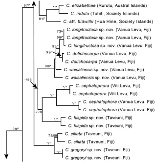 Figure 4. A portion of the Maximum Likelihood phylogram from Johnson et al. (2017) based on three nuclear (ITS, ETS, Cyrt1) and two chloroplast (psbA-trnH, rpl32-trnL) loci