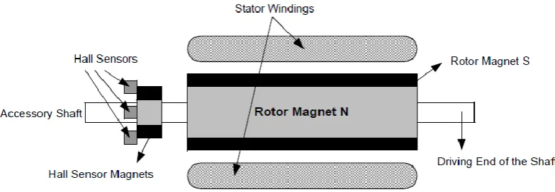 Figure 2.3: BLDC motor cross section [2] 