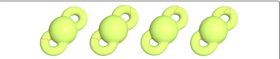 Fig. 2 Homology group basis for a graph embedded on a genus two surface