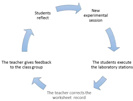 Figure 2.  How it works- the principles steps of this methodology 
