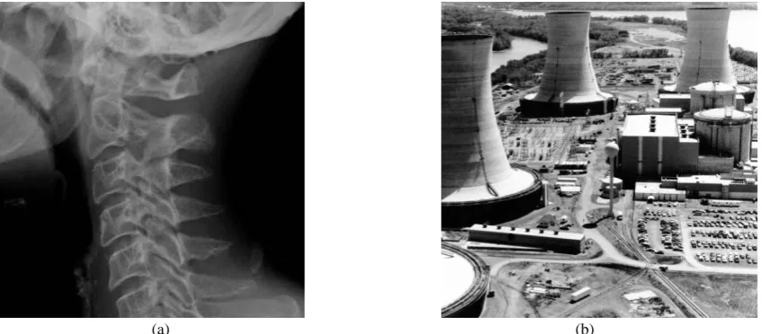 Figure 2. Test grey-level images: (a) Neck.bmp 1024 1024; (b) Power.bmp 512512