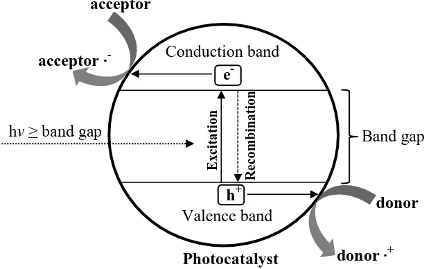 Figure 1.1:  Schematic illustration of the photoinduced holes and electrons over photon activated semiconductor photocatalyst