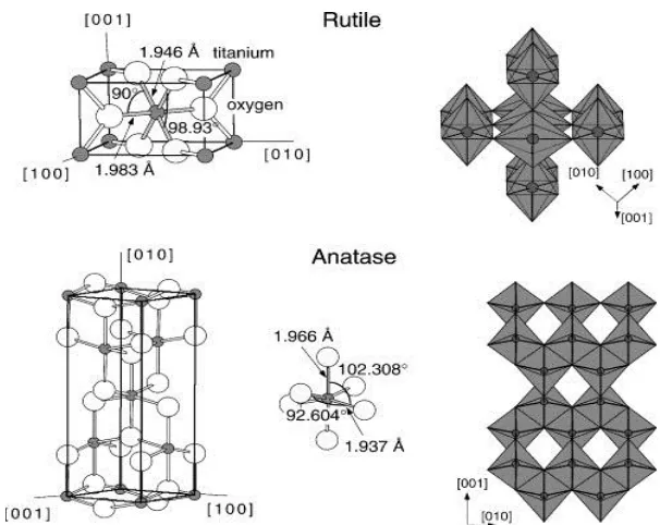 Figure 1.3 : Basic crystalline structure of anatase and rutile TiO2. 