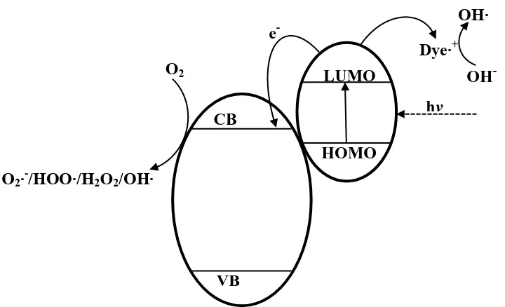 Figure 1.5:   transfers an electron into the TiO its cationic radicals. The injected electrons hop over to the surface of TiO are scavenged by molecular oxygen to form superoxide radicals (Oradicals (HOO∙), hydrogen peroxide (H excited from the highest occ