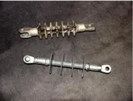 Figure 2.6: Polymeric insulator damage 