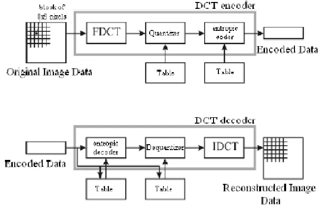 Figure 2.5: One Dimensional DCT [22]. 