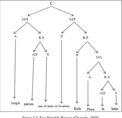 Figure 2.4: Tree Simplify Process (Chomsky, 2005)  