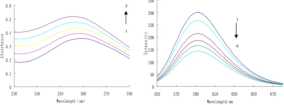Figure 2. (a) Absorption Spectra of DNA-compound 8 in Tris-HCl Buffer Solution at pH 7.4CT-DNA concentration was kept fixed at 10 mM and compound 10 concentration was varied from(1) 0 to (5) 20 mM; (b) Fluorescence emission spectra (excited at 520 nm) of EB, EB-DNA complexes in the absence (1) and presence (2-6) of increasing concentrations of the compound 8 (2 mmol L-1, 1 L per scan) 