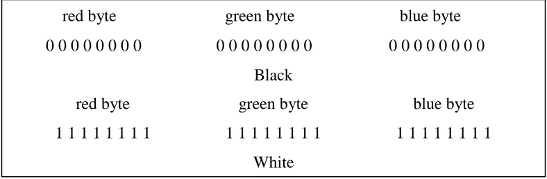 Figure 2.2 An example of black and white pixels 
