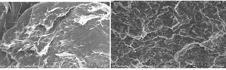 Figure 1 clearly see that there are obvious interface between the crystal ball, and calcium carbonate plus a superfine polypropylene photos can be seen, fine calcium carbonate added to make polypropylene spherulite, which also borders become more blurred, this is due to the presence of ultra-fine calcium carbonate, polypropylene 