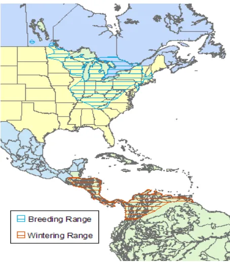 Figure 2. Range for GWWA. Accessed from the Golden-winged Warbler Fact Sheet (NYSDEC, 2009a)