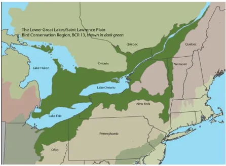 Figure 6. Lower Great Lakes Plain area in green (http://acjv.org/planning/bird-conservation-regions/bcr-13)