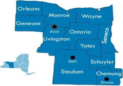 Figure 8.  Counties included in the Western Finger Lakes Region of New York.  The star represents the DEC headquarters for this region, which is located in the town of Avon, New York