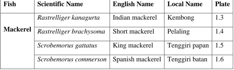 Table 1.2: Mackerel fish species found in Malaysian waters 