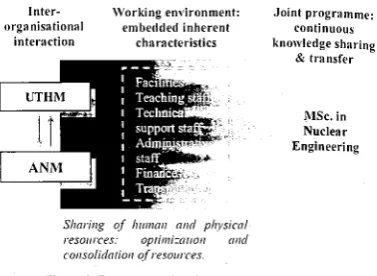 Figure 2. Programme De~elopment Pathway 