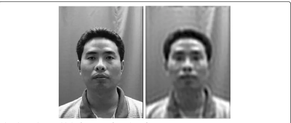 Fig. 1 The original picture and the low frequency part after wavelet transform