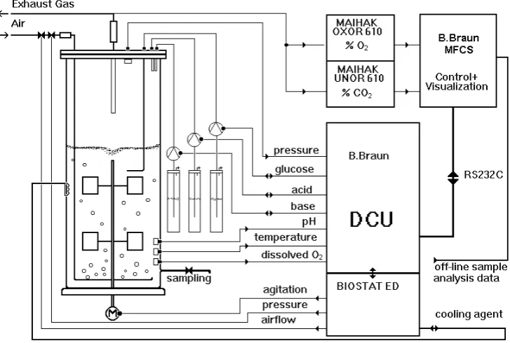 Figure 1. Experimental setup 