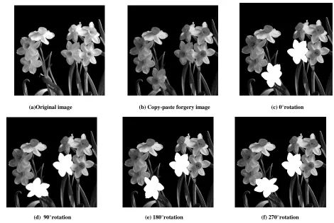 Fig. 3 Detection figure of different rotation angles   
