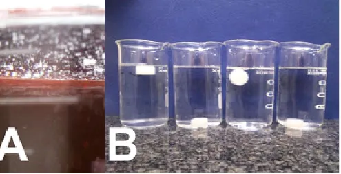 Table 2. Water intake of the assessed tablets after 24 h and dry residue of the tablets after 21 days of desiccation