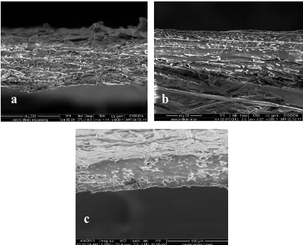 Fig. 2. SEM cross-section images of (a) pineapple leaf, (b) corn stalk, and (c) napier grass fibers  
