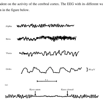 Figure 1.4: Different waves of EEG and how the eyes opening and closing affect the 