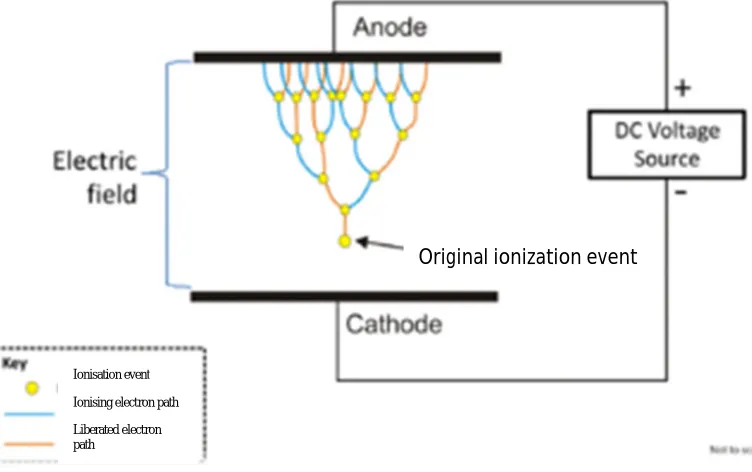 Figure 2.3: Visualation of a Townsend Avalanche [8]. 