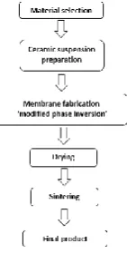 Fig. 4: Atomic Force Microscopy (AFM): 