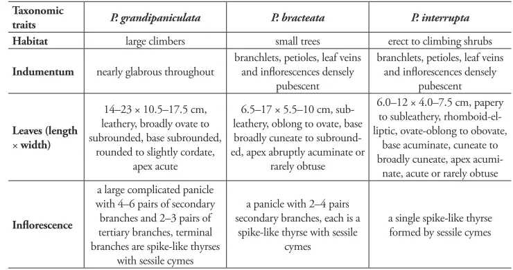 Table 1. Morphological comparisons amongst Premna grandipaniculata, P. bracteata and P