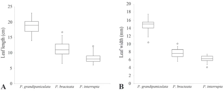 Figure 3. Box plots of two quantitative characters, leaf length (A) and leaf width (B), of Premna gran-dipaniculata, P