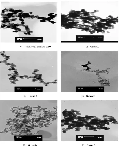 Fig. 2. TEM of prepared ZnO nano particles with sol-gel   